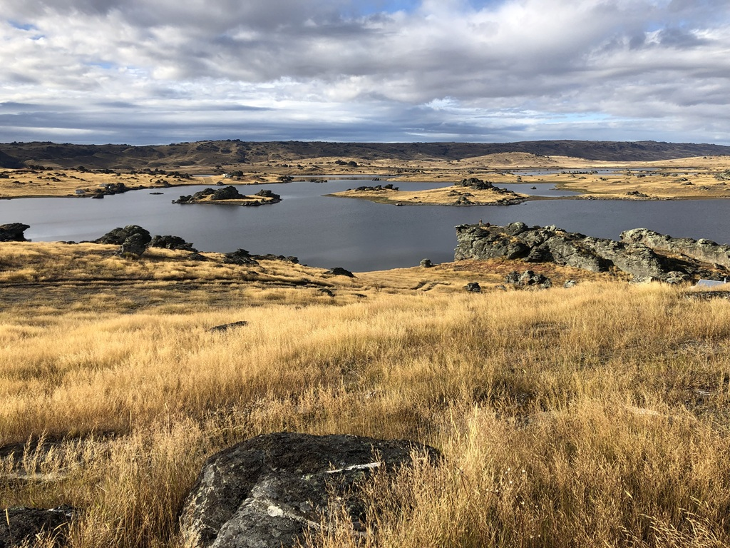 Queenstown to Middlemarch small-group tour (One-Way) - Photo 1 of 7